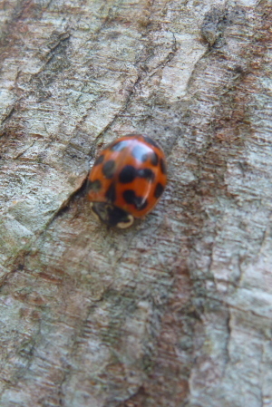 2012_02_19 11_38_08.jpg
