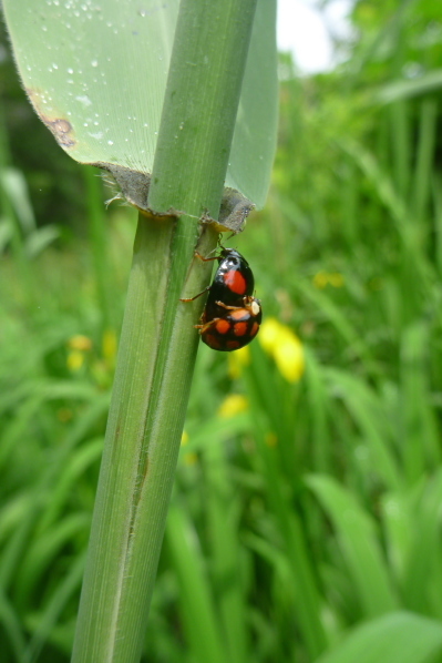 2012_06_02 10_52_03.jpg