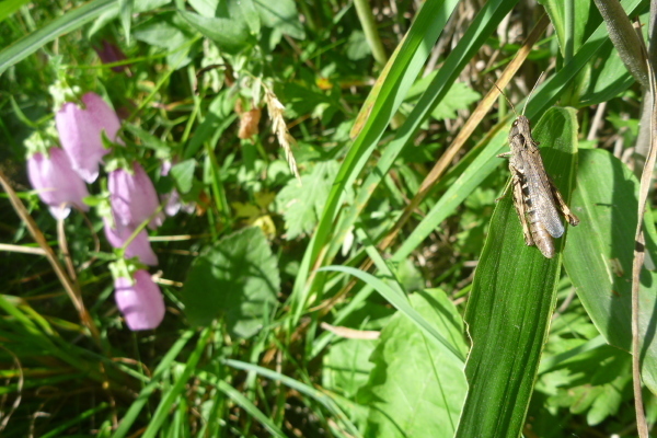 2012_08_27 08_01_33.jpg