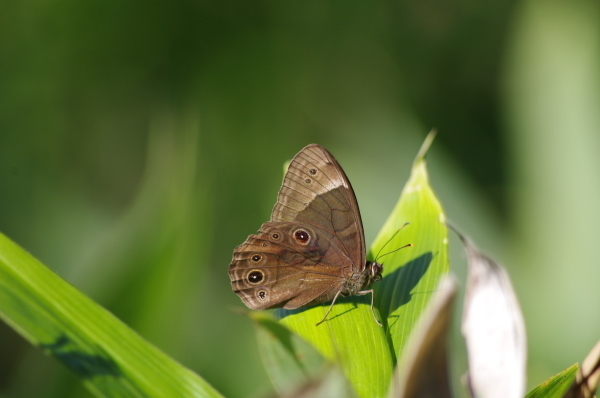 2012_08_27 08_25_29.jpg