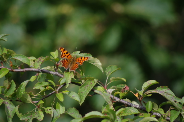 2012_08_27 08_47_09.jpg