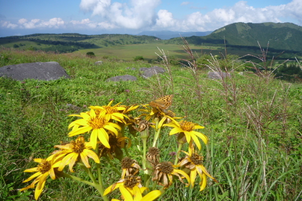 2012_08_27 09_00_13.jpg