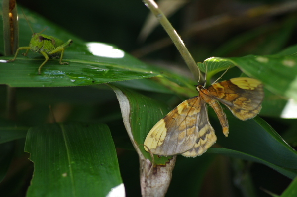 2012_08_27 09_12_22.jpg