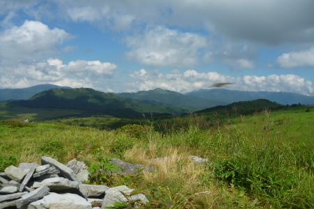2012_08_27 09_44_47.jpg