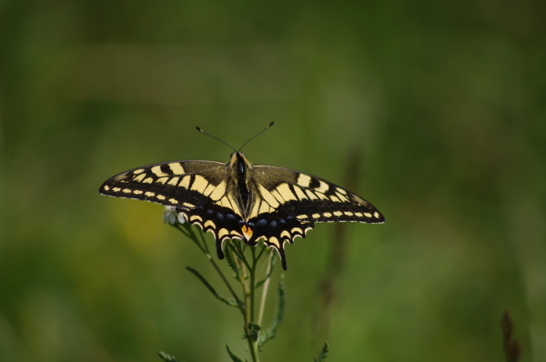 2012_08_27 09_44_56.jpg