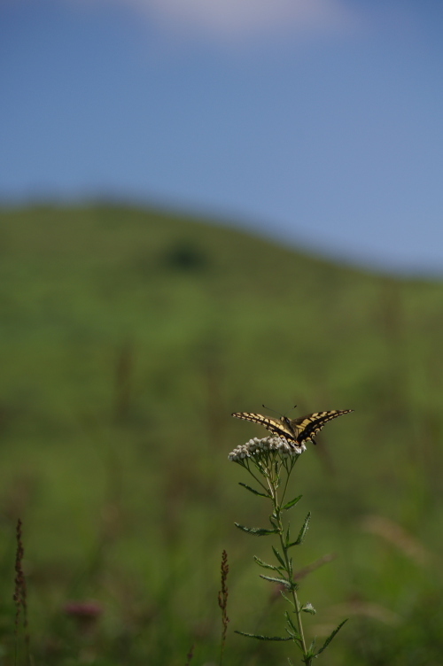 2012_08_27 09_45_53.jpg