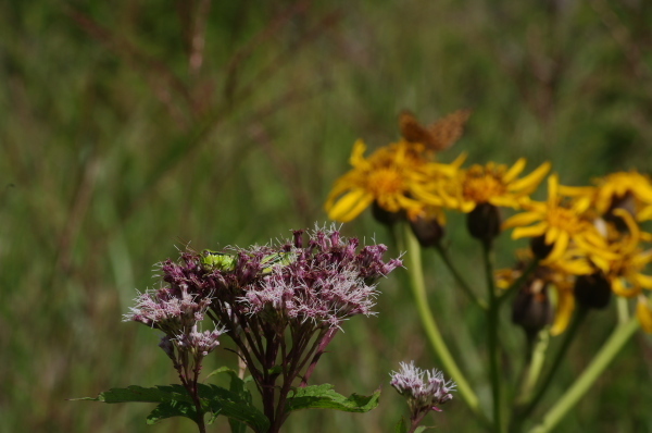 2012_08_27 09_58_39.jpg