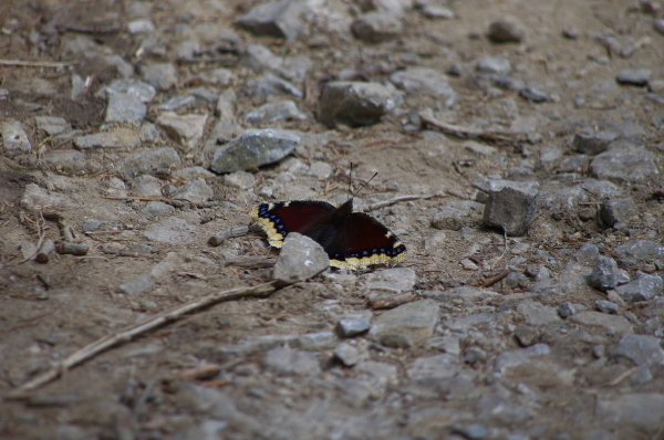 2012_08_27 10_38_19.jpg