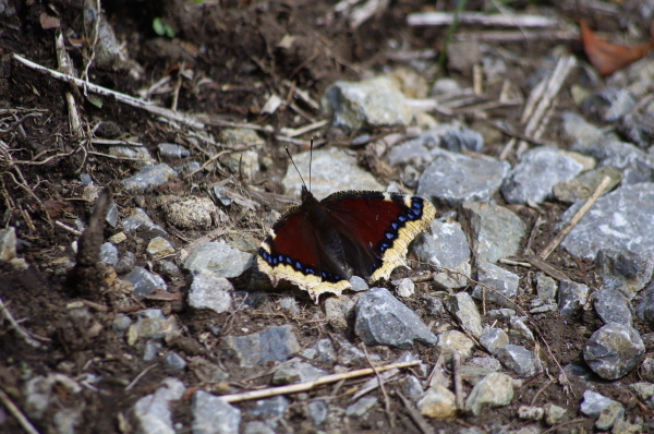 2012_08_27 10_39_48.jpg