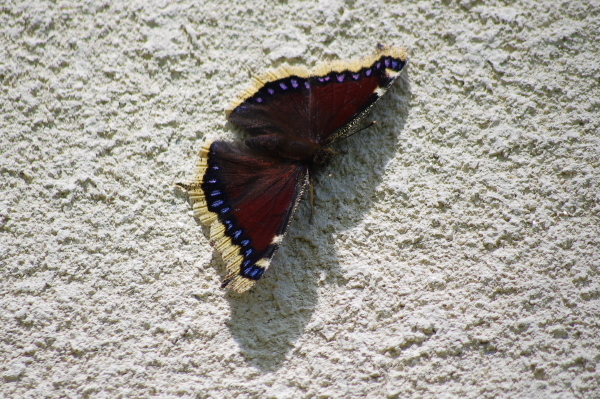 2012_08_27 10_45_56.jpg