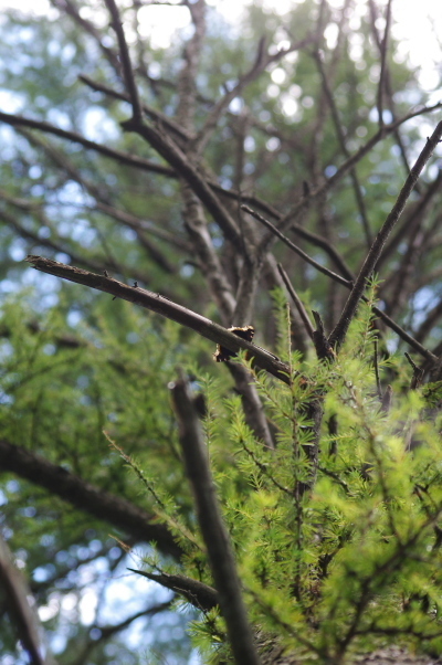 2012_08_27 10_48_17.jpg