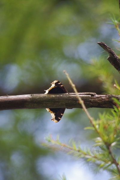 2012_08_27 10_51_51.jpg