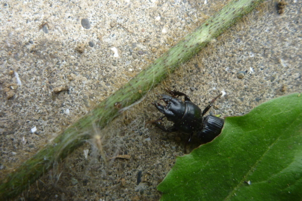 2013_06_01 13_46_49.jpg