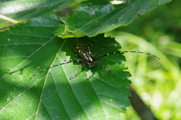 2013_06_08 14_33_43.jpg