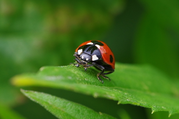 2013_06_15 09_59_42.jpg
