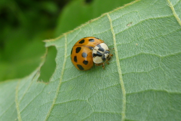 2013_06_15 10_10_07.jpg