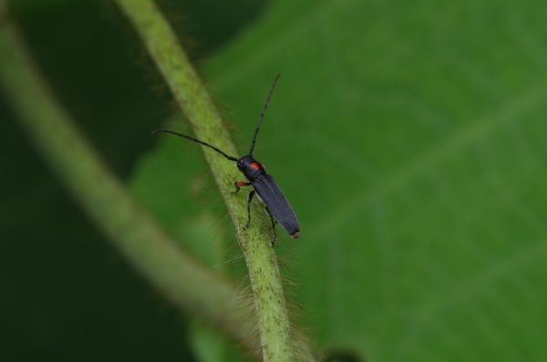 2013_06_15 10_12_52.jpg