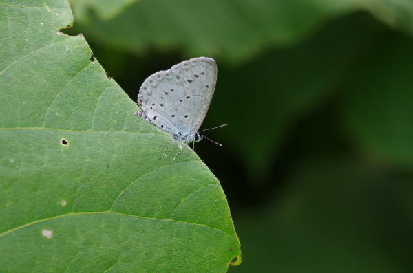 2013_06_15 10_16_16.jpg
