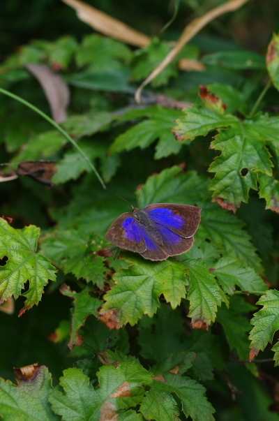 2013_06_15 11_42_17.jpg