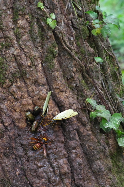 2013_07_14 11_22_42.jpg