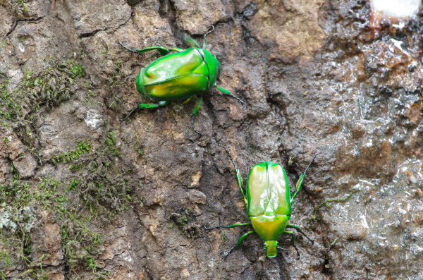 2013_07_14 11_27_59.jpg
