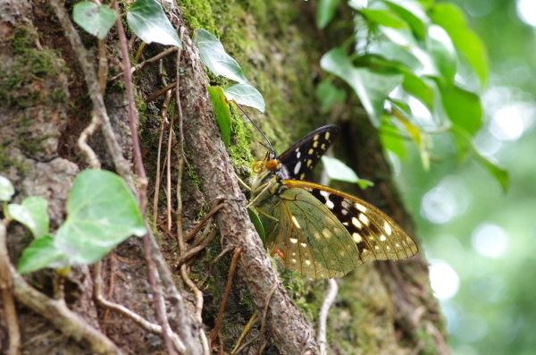 2013_07_14 11_30_57.jpg