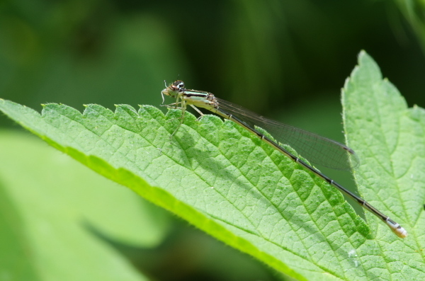 2013_07_14 11_54_07.jpg