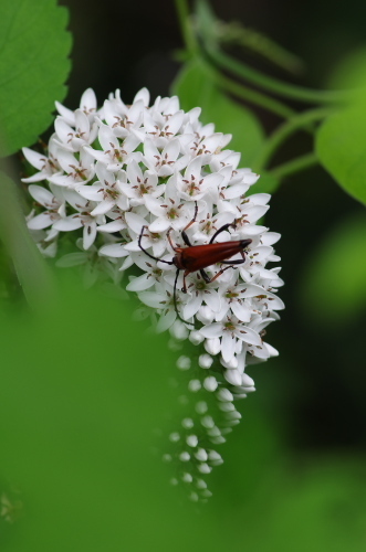 2013_07_14 12_02_28.jpg