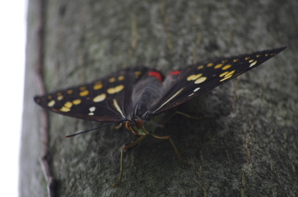 2013_07_14 13_22_54.jpg