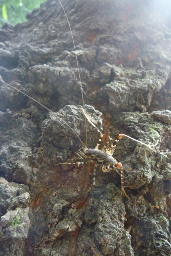 2013_07_14 14_07_42.jpg