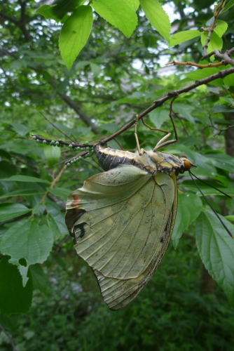 2013_07_14 15_23_37.jpg