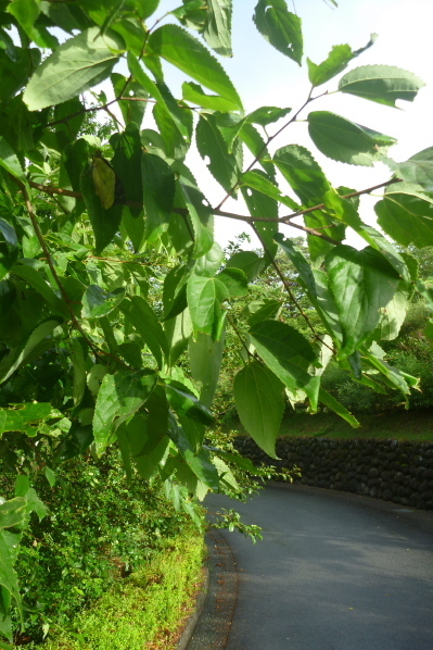 2013_07_14 16_37_11.jpg