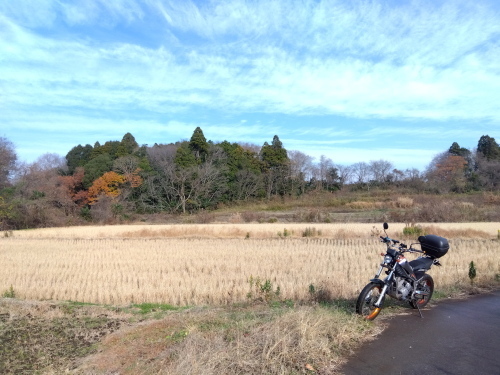 IMG_2023-12-16-10-00.jpg