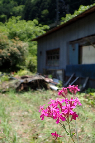 P5220434.jpg