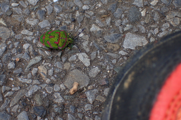 P5280454_01.jpg