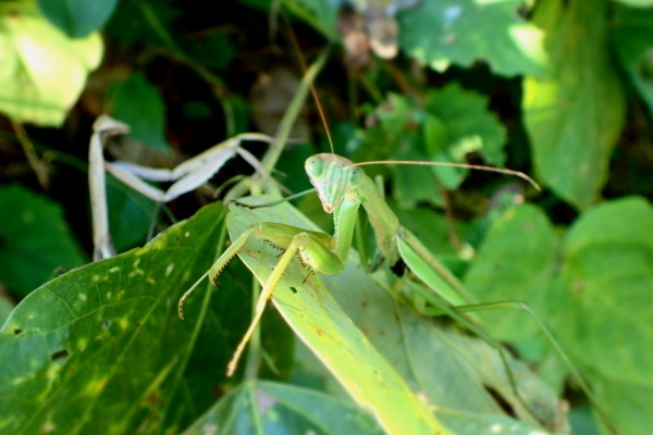 PA120132.jpg