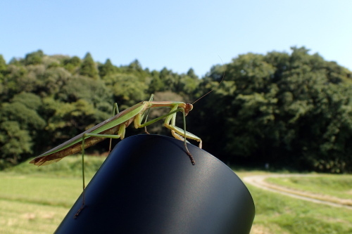 PA120136.jpg