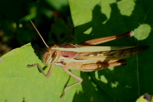 PA120138.jpg