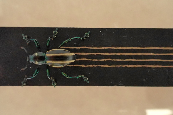 TG20190908_003.jpg