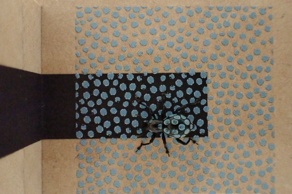 TG20190908_005.jpg