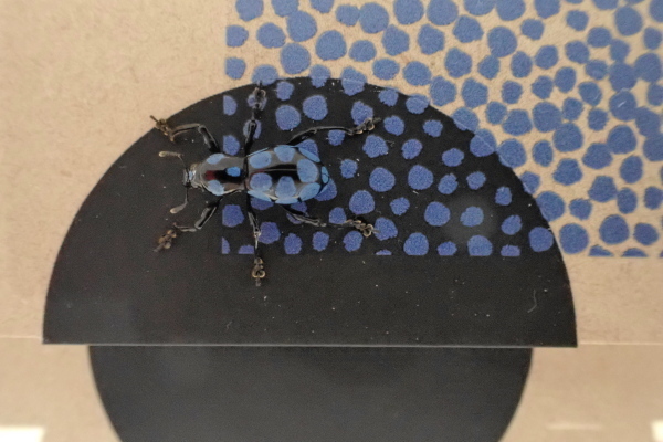 TG20190908_006.jpg