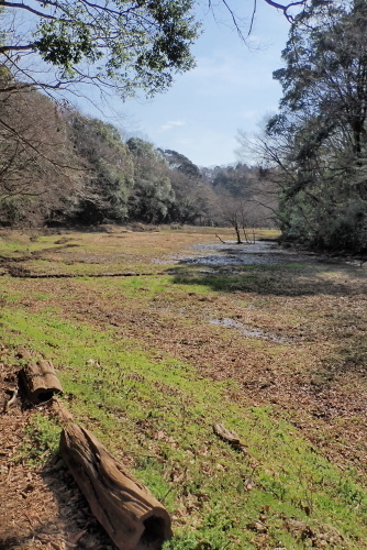 TG20200301_061.jpg