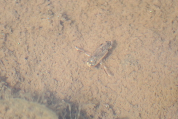 TG20200301_099.jpg