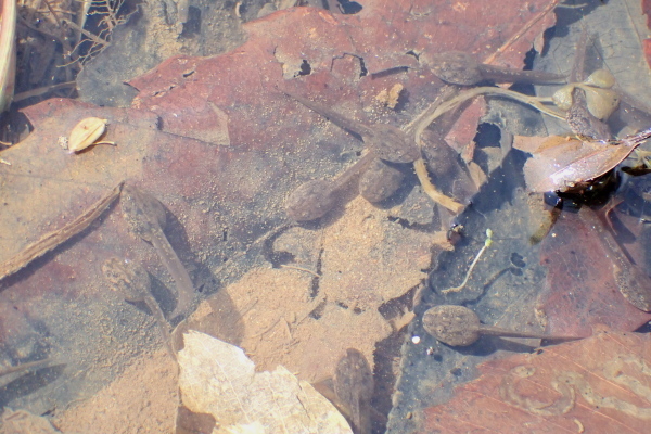 TG20200301_100.jpg