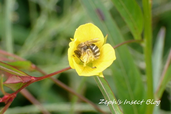 TG20201003_020.jpg