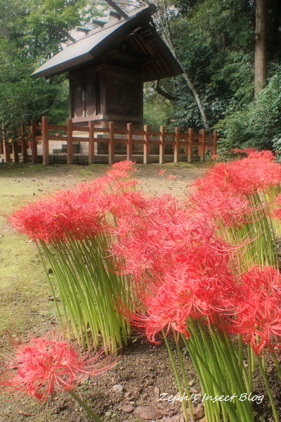TG20201003_031.jpg