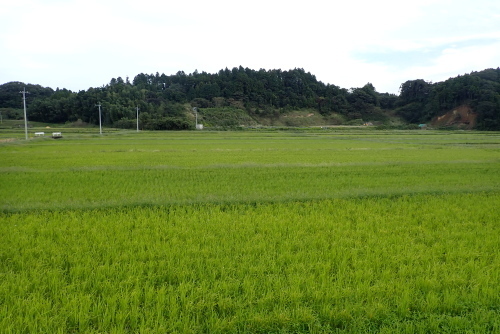 TG20201003_048.jpg
