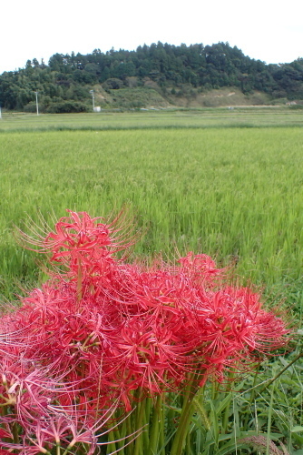 TG20201003_052.jpg