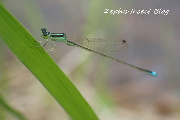 TG20201003_055.jpg