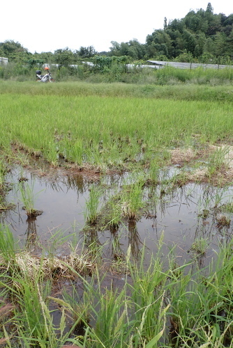 TG20201003_060.jpg